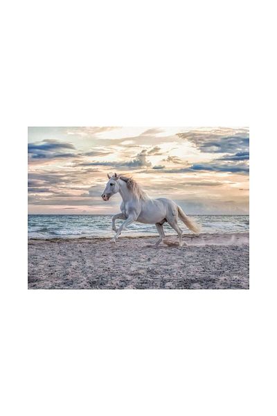 RAVENSBURGER Ravensburger Puzzle - Horse on the Beach, 500 pieces