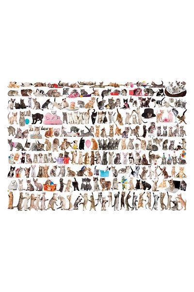 Eurographics Puzzle Eurographics - The World of Cats, 1000 pieces