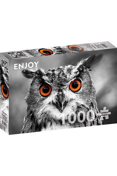 Enjoy Puzzle 1000 pieces Enjoy - Curious Owl