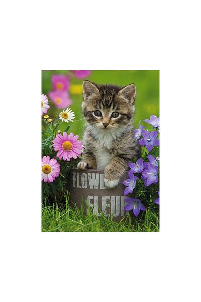 RAVENSBURGER Puzzle Ravensburger - Kitten among the Flowers, 100 pieces XXL