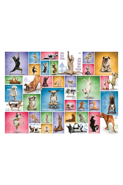 Eurographics Puzzle Eurographics - Yoga Dogs, 1000 pieces