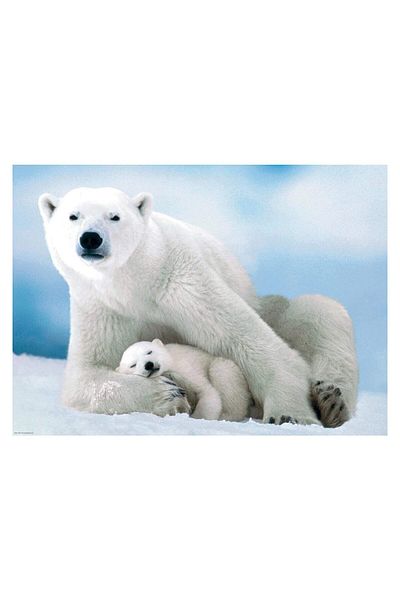 Eurographics Puzzle Eurographics - Polar Bear & Baby, 1000 piese