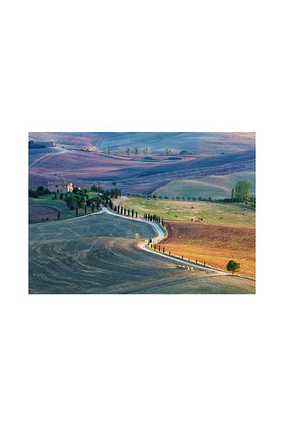RAVENSBURGER Ravensburger Puzzle - Pienza, 1000 pieces
