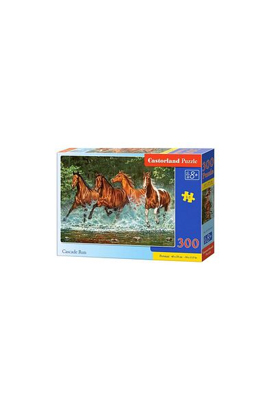 Castorland Castorland Puzzle - Cascade Run, 300 pieces