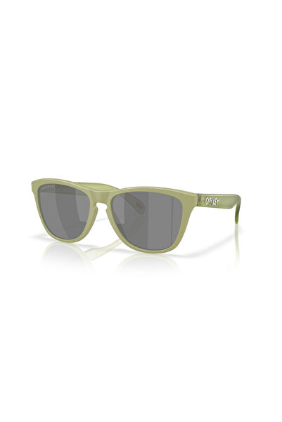 Oakley FROGSKINS Unisex Glasses 0OO9013-OAK.M2 Multicolor-STD