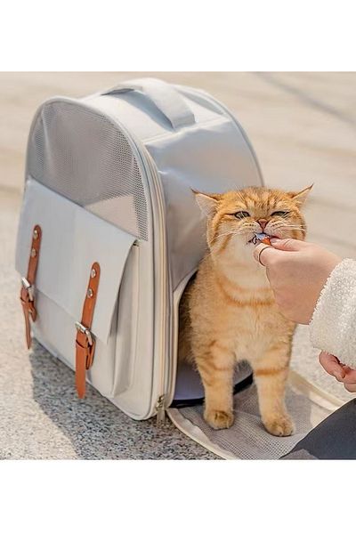 TaoTaoPets Pet Carrier Backpack with Mesh Window and Leather Straps, Light Blue, 39x32x25 cm