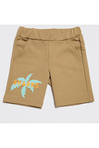 SeaBubbles Palm Tree Boy Shorts Set