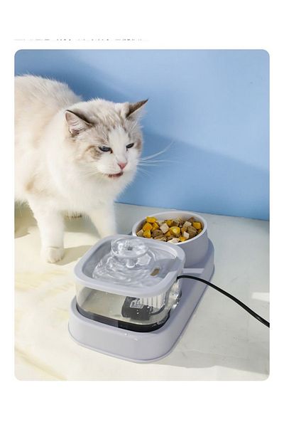 TaoTaoPets Pet Feeding Station with Water Fountain, Dual Food Bowls, Automatic Water Dispenser, Grey