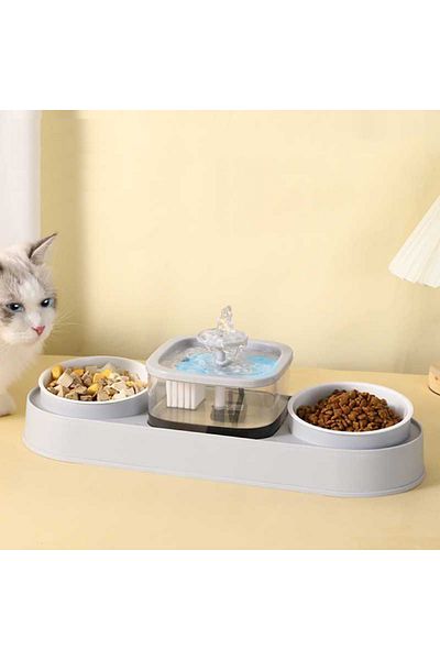 TaoTaoPets Pet Feeding Station with Water Fountain, Dual Food Bowls, Automatic Water Dispenser, Grey