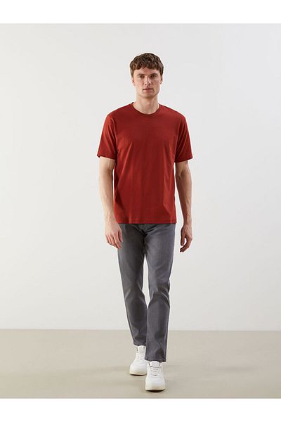 LC Waikiki Basic Plum Crew Neck Combed Cotton Men's T-Shirt