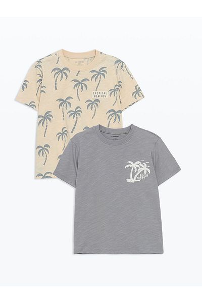 LC Waikiki Crew Neck Long Sleeve Printed Boys' T-Shirt Pack of 2