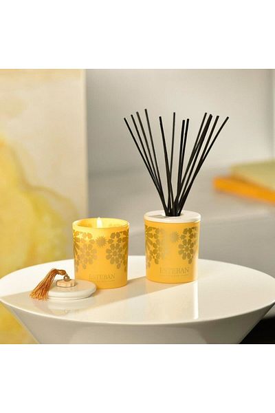Esteban Paris Deco diffuser. Amber&reserve 100ml -