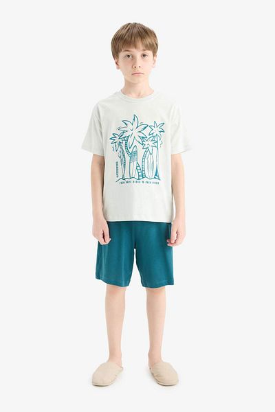 DeFacto Boys' Pajama Set Short Sleeve Top Flexible Waisted Shorts F1735A825Hs