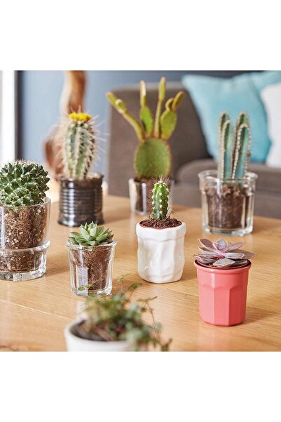 Generic Luminarc Carnaval Heat Resistant Tempered Glass Tumbler Coral Pink 90ml P0491