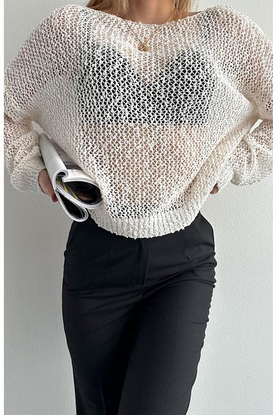 fujya Insect Knitted Ecru Transparent Sweater