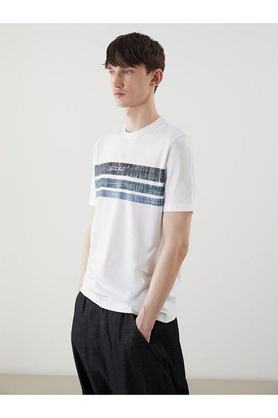 LC Waikiki Xside Crew Neck Striped Combed Cotton Men's T-Shirt