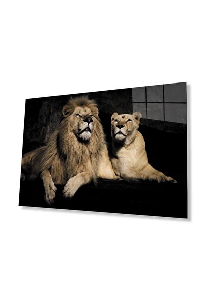 idealizbiz Sticlă Lion 4mm Sticlă Securizată Durabilă