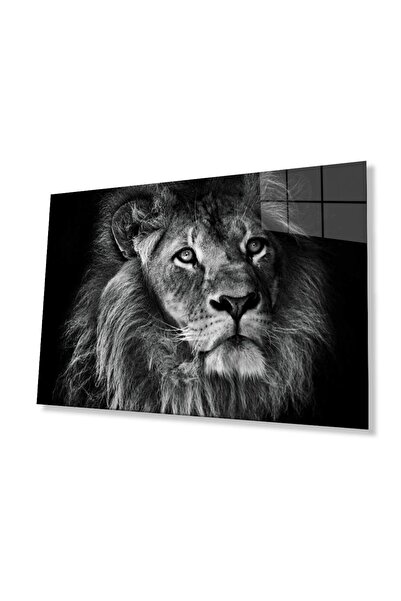 idealizbiz Sticlă Lion 4mm Sticlă Securizată Durabilă