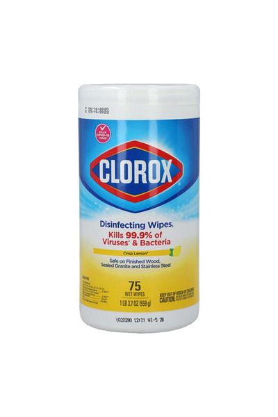 Generic Clorox 75-Piece Disinfecting Wipes 559g
