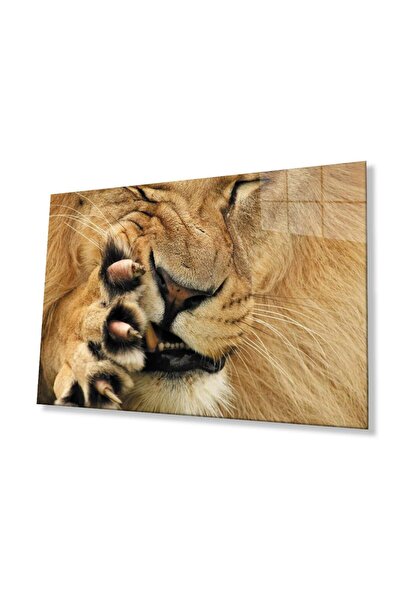 idealizbiz Sticlă Lion 4mm Sticlă Securizată Durabilă