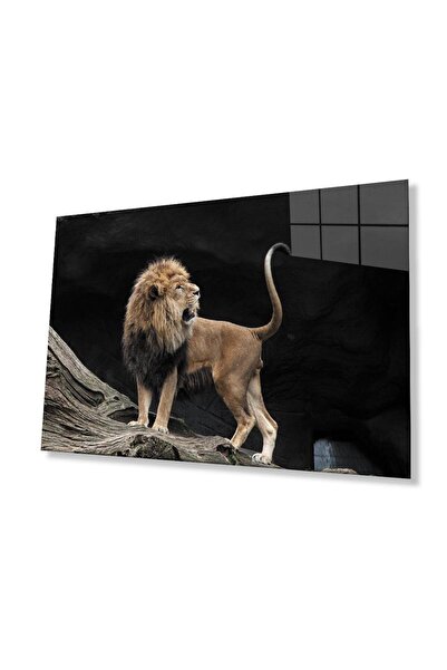 idealizbiz Τραπέζι Lion Glass 4mm Ανθεκτικό σκληρυμένο γυαλί