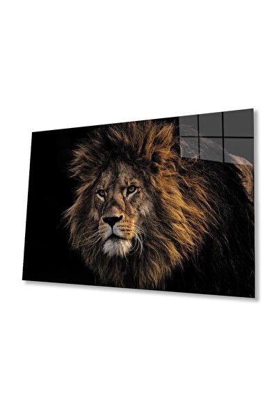 idealizbiz Pictură pe sticlă Aslan
