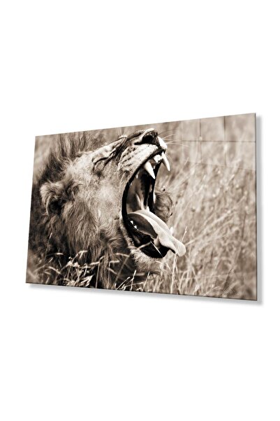 idealizbiz Sticlă Lion 4mm Sticlă Securizată Durabilă