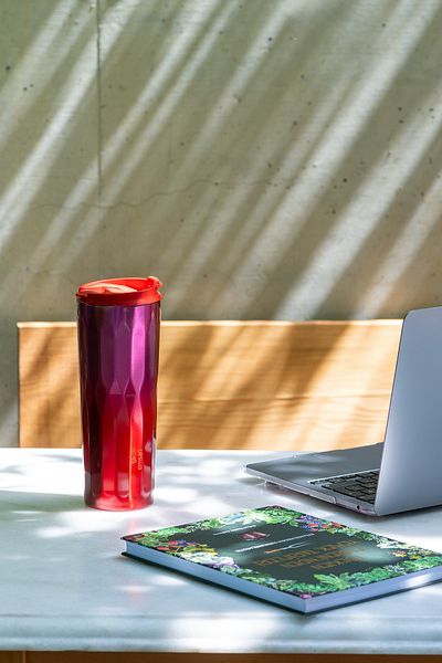 Emsan Crystal Thermos Pink 500 ml
