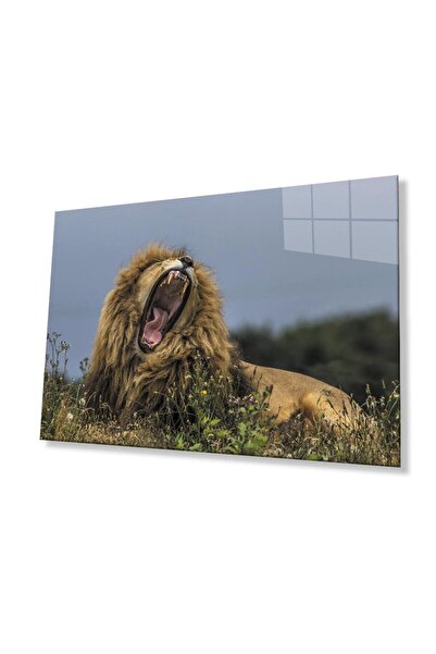 idealizbiz Sticlă Lion 4mm Sticlă Securizată Durabilă