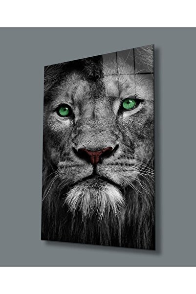 idealizbiz Sticlă Lion 4mm Sticlă Securizată Durabilă