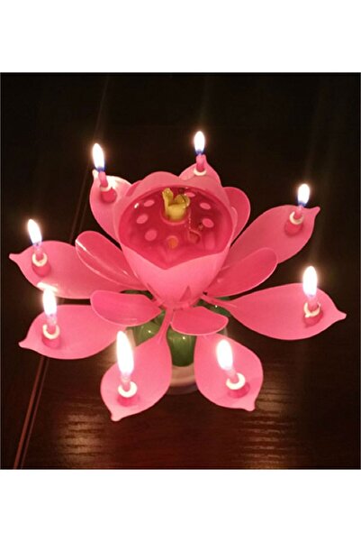 Vipfoni شمعة الكيك السحرية الموسيقية ذاتية الفتح - وردي