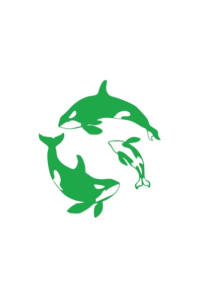 Reysa Tasarım Whales Car Sticker 17X17 cm Green
