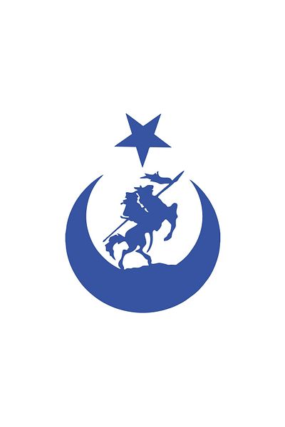 Reysa Tasarım Falcon and Moon Star Turkish Flag Car Sticker 17X17 cm Blue