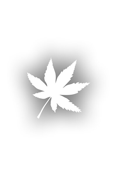 Reysa Tasarım ملصق سيارة مكون من 6 أوراق مقاس 17 × 17 سم باللون الأبيض