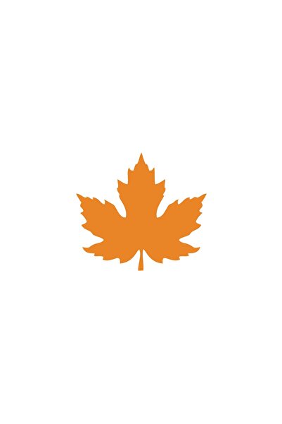 Reysa Tasarım Plane Leaf Car Sticker 17X17 cm Orange