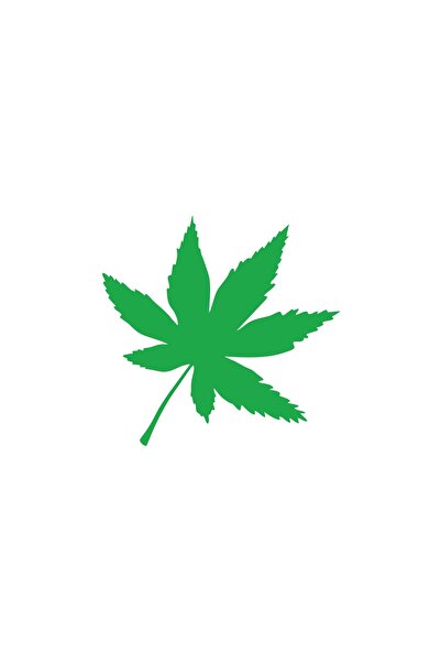 Reysa Tasarım ملصق سيارة مكون من 6 أوراق مقاس 17 × 17 سم باللون الأخضر