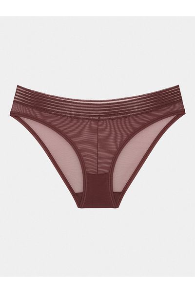 Triumph Women's Classic Briefs 10215956 Brown