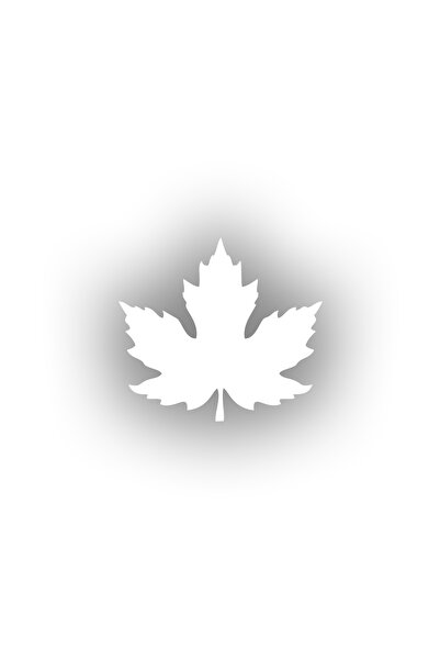 Reysa Tasarım Plane Leaf Car Sticker 17X17 cm White