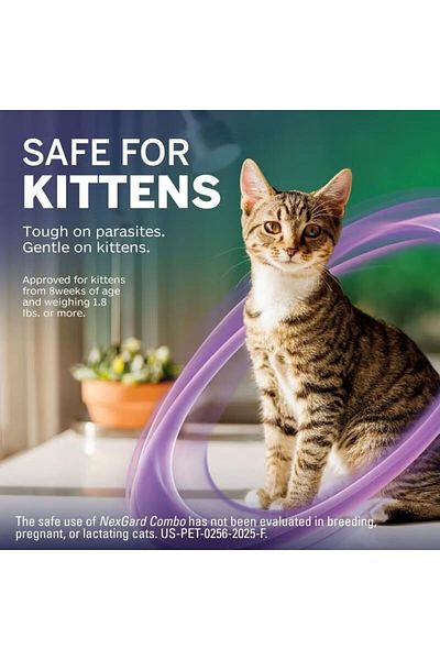 NEXGARD Flea and Tick Prevention Combo for Cats Under 2.5 kg