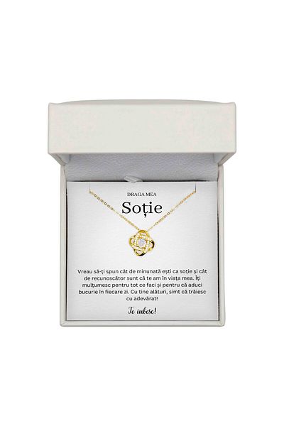 The Jewel Heart Colier Cadou pentru Soție – Argint 925 Placat cu Aur 14K, Cu Mesaj și Cutie LED