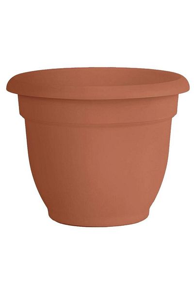 Generic Bloem Ariana Weather Resistant Self-Watering Plastic Planter Terracotta 12inch 20-56112