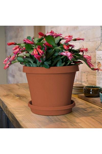 Generic Bloem Fiskars Weather Resistant Plastic Planter Saucer Tray Terracotta 12inch 20-51012C