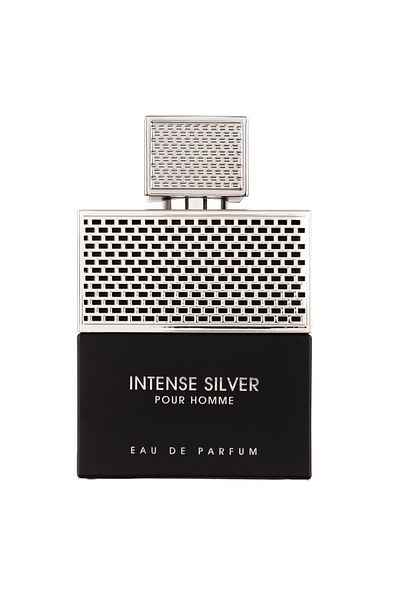 FRENCH AVENUE Perfume Intense Silver Pour Homme, Fragrance World, eau de parfum 100 ml, ανδρικά