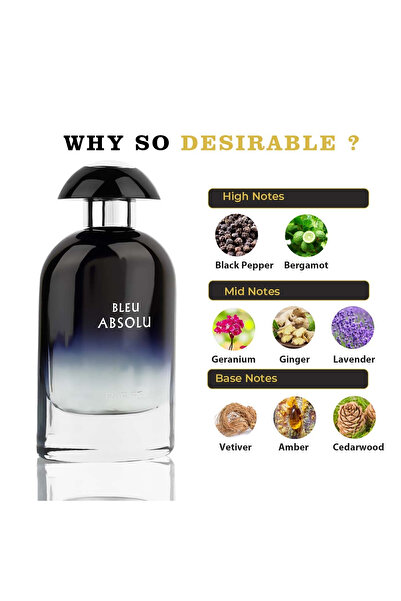 Riiffs Bleu Absolu Perfume, Riiffs, 100 ml Eau de Parfum, Men