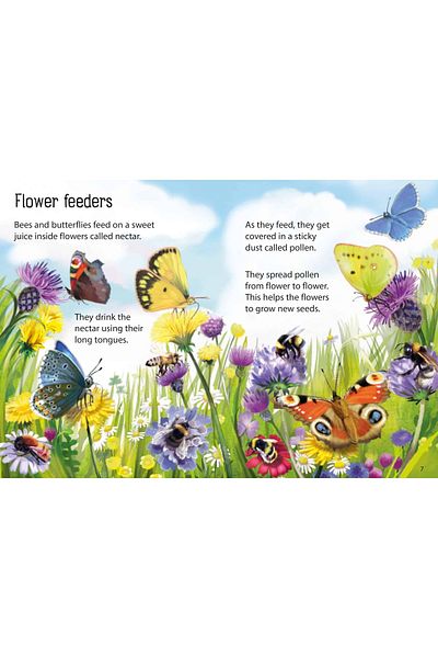 Usborne Children's book - Creepy crawlies
