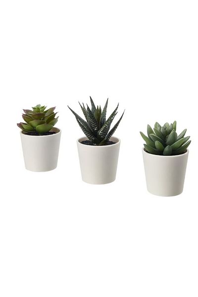 SUPER TRENDS Set of 3 SUPER TRENDS® Artificial Plants, Decorative Flowers in Pots, 12 cm, Light Green