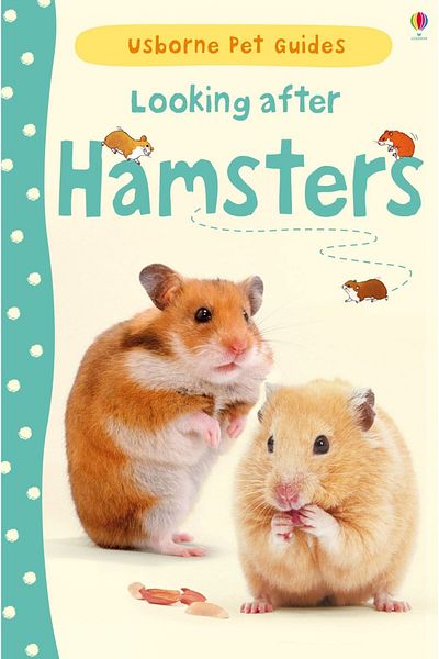 Usborne Children's book, Usborne, Looking after Hamsters, 7+ years
