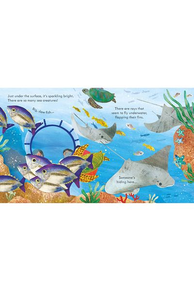 Usborne Children's book - Peep Inside the ocean