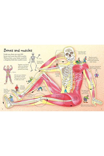 Usborne Children's book - See Inside Your Body