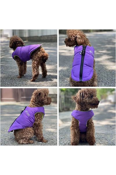 LOVELO Lovelonglong waterproof winter dog vest, nylon/wool, purple, size XS